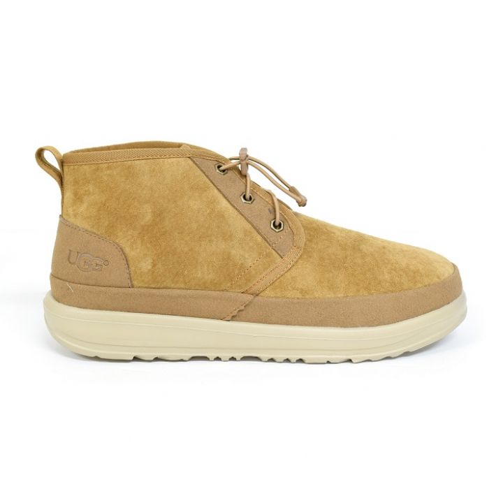 Men's Neumel Elastic Chestnut 