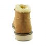 Мужские ботинки Ugg Men's Ailen Chestnut Boots